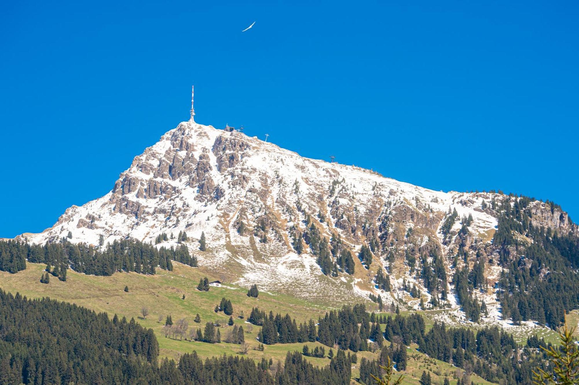 Das Kitz - Chalet Steuerberg Xl Kitzbuehel Εξωτερικό φωτογραφία